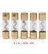 KIT DE 5 FUSIBLES 40A (XL-AGU) 