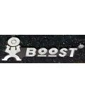 BOOST